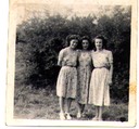 willington trio