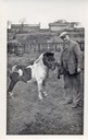 man with pony