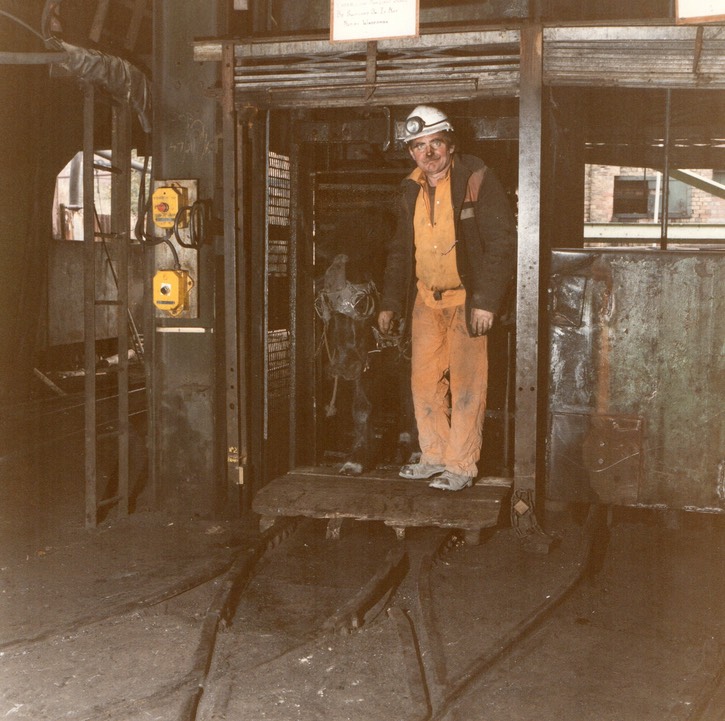 SANDY IN PIT CAGE TO ELLINGTON